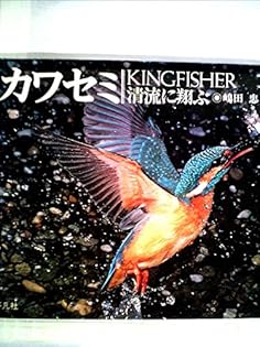 Amazon.co.jp: 嶋田 忠: 本、バイオグラフィー、最新アップデート